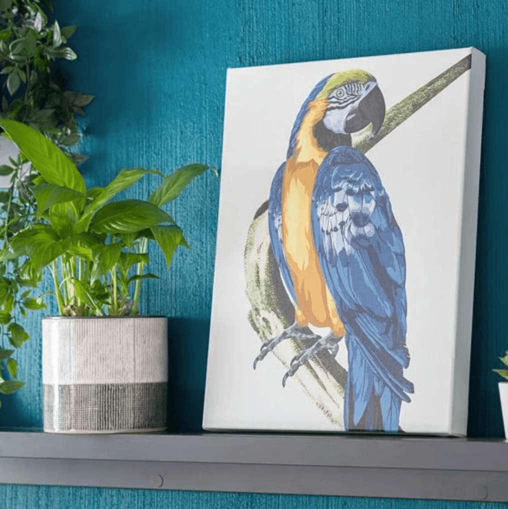 Premium canvas print quality showcase